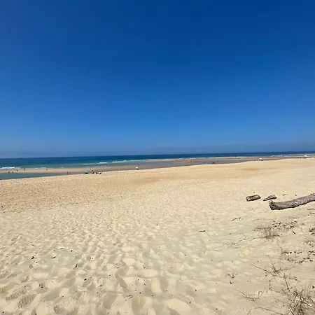 Avec Jardin Entre Et Ocean Hossegor