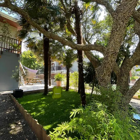 Avec Jardin Entre Et Ocean Hossegor ソール・オスゴール