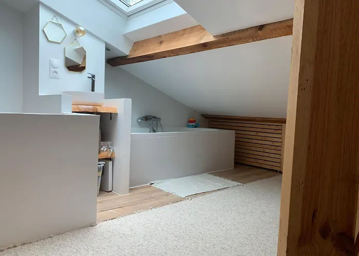 Avec Jardin Entre Et Ocean Hossegor Lejlighed *