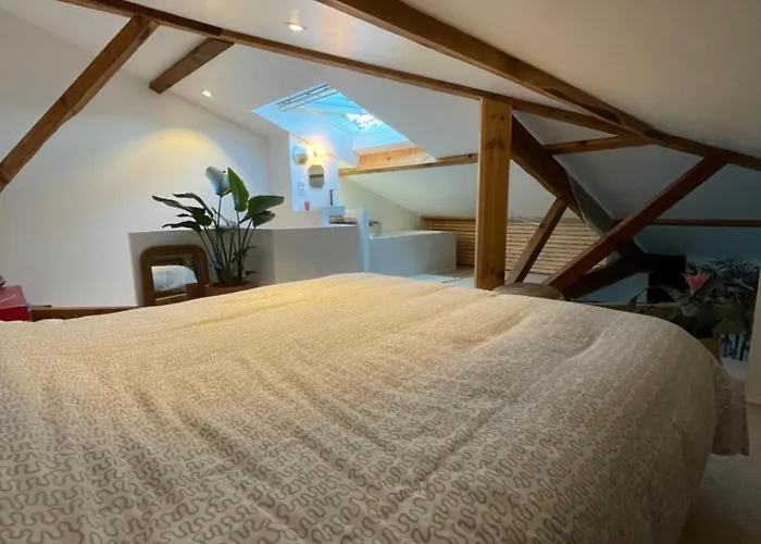 Avec Jardin Entre Et Ocean Hossegor *